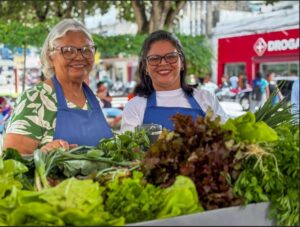 Circuito de Regional de Feiras movimenta o Agreste com sabores, cores e histórias do campo