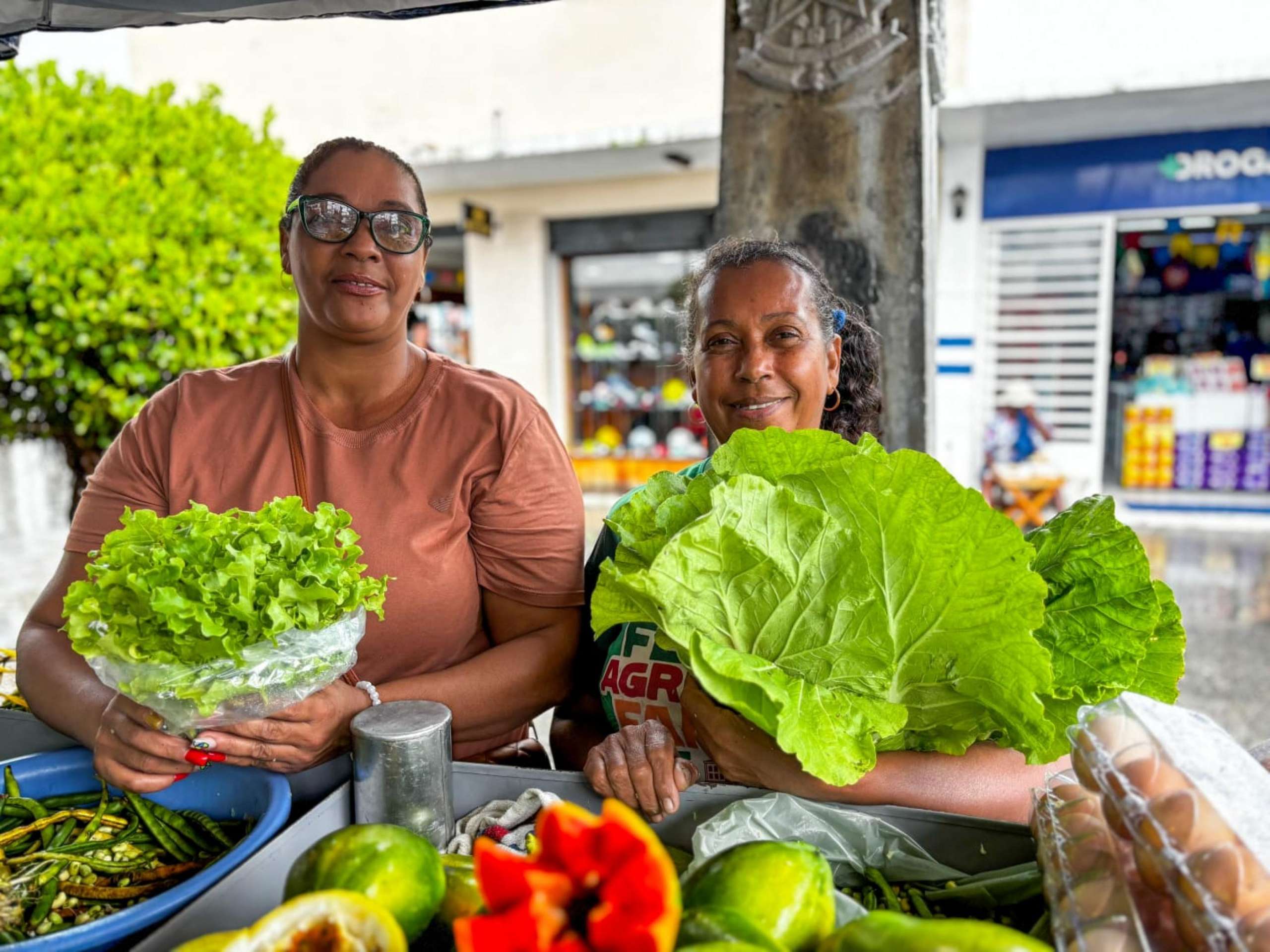 Feiras fortalecem agricultura familiar e celebram protagonismo feminino no campo