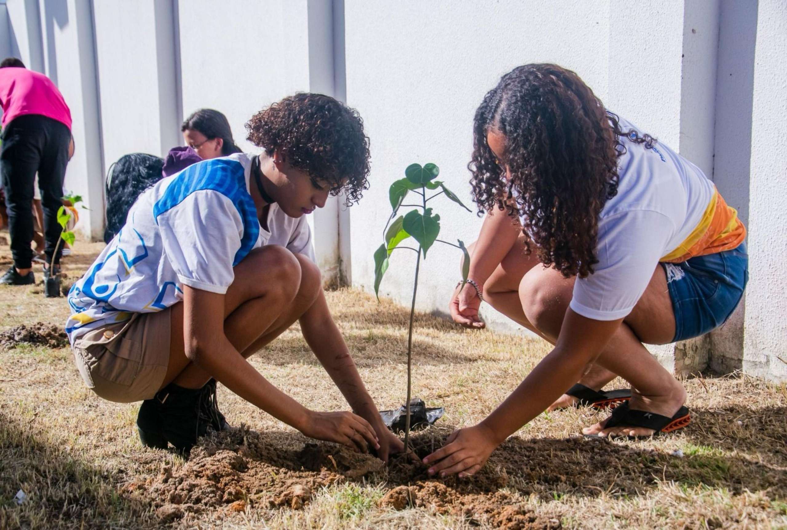 IMA promove plantio de 7 mil mudas em Coruripe em celebração ao Dia Mundial do Meio Ambiente