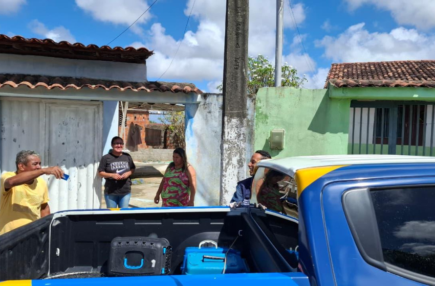 Ação de controle da UVZ de Maceió recolhe animais com sinais de esporotricose no Biu