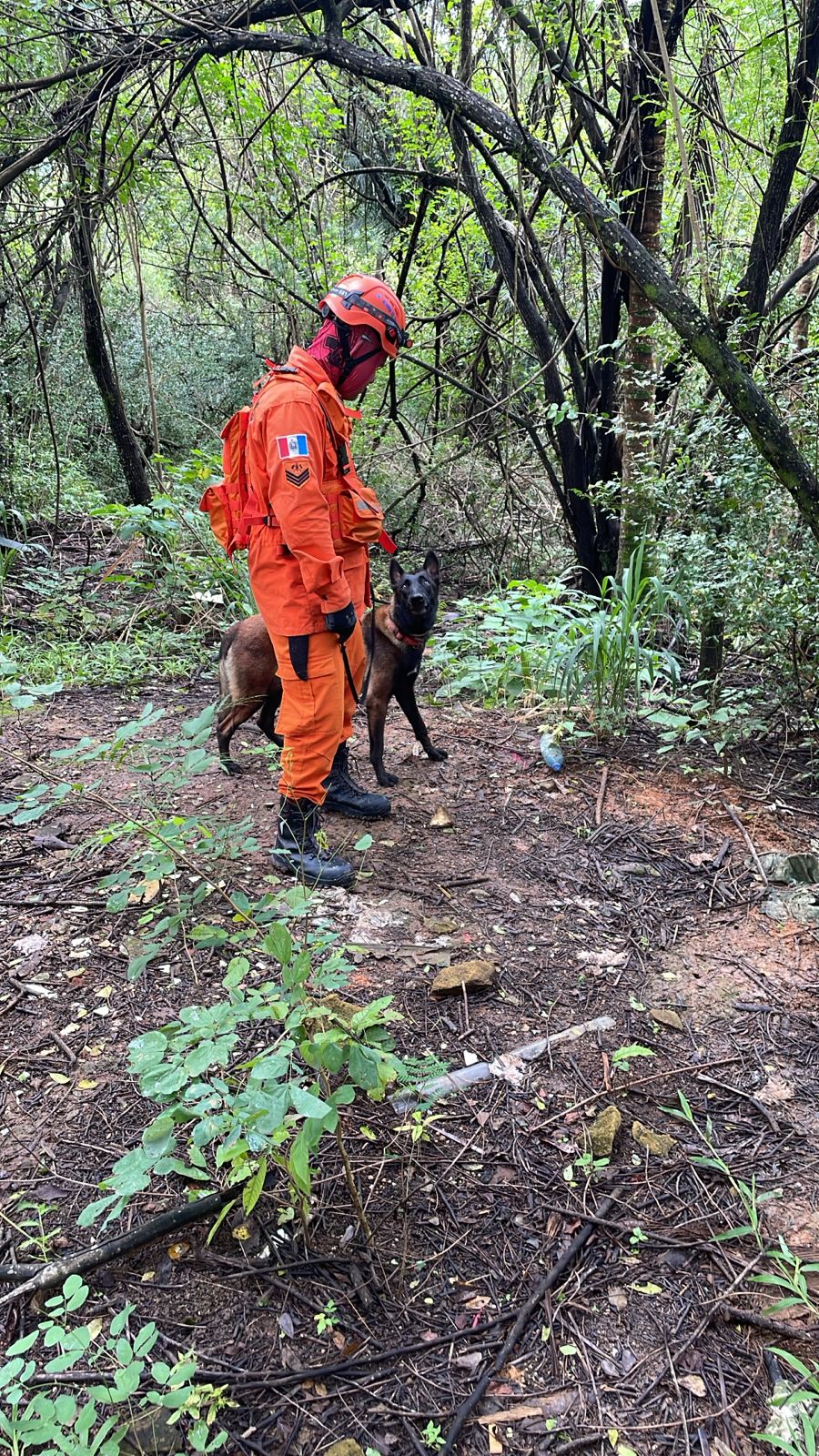 Corpo de Bombeiros realiza busca por jovem desaparecida há quatro dias