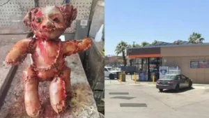 Descoberta de ursinho de