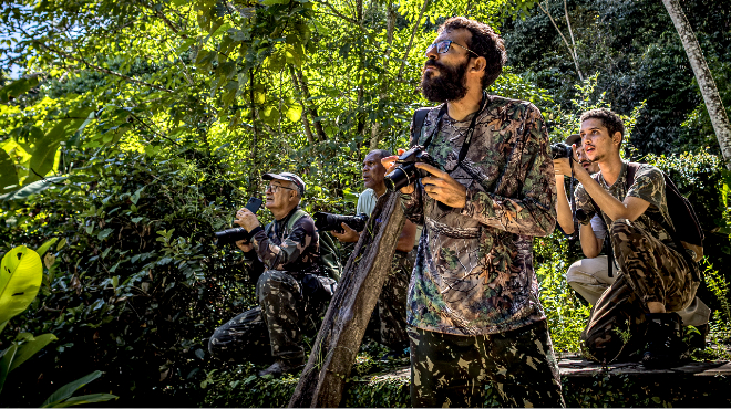 Global Big Day reúne observadores de aves em todo o mundo » Alagoas Notícia Boa