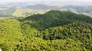 Alagoas tem o menor índice de desmatamento do Nordeste » Alagoas Notícia Boa