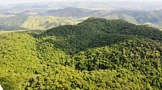 Alagoas tem o menor índice de desmatamento do Nordeste » Alagoas Notícia Boa