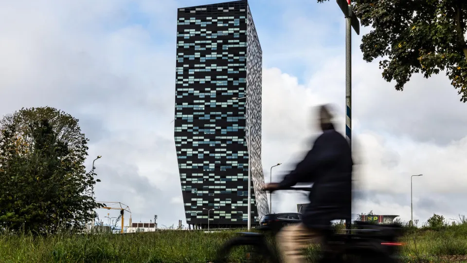 Pequim flexibiliza exportações pela Nexperia para aliviar crise nos 