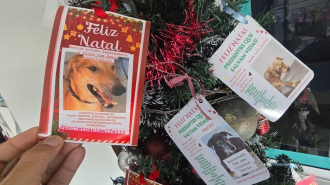 Árvore Pet Solidária arrecada doações para cães e gatos » Alagoas Notícia Boa