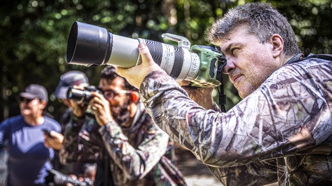 Turismo de observação de aves ganha diretrizes inéditas no Brasil » Alagoas Notícia Boa