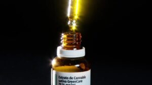 Anvisa aprova cultivo de cannabis por empresas e amplia acesso » Alagoas Notícia Boa