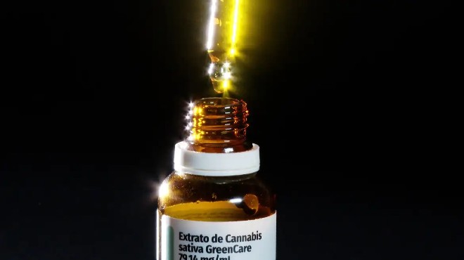 Anvisa aprova cultivo de cannabis por empresas e amplia acesso » Alagoas Notícia Boa