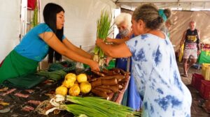 FNE terá orçamento recorde com R$ 2,82 bilhões destinados a AL em 2026 » Alagoas Notícia Boa