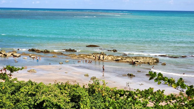 Projeto do BNDES para monitoramento e restauração de corais contempla Alagoas » Alagoas Notícia Boa