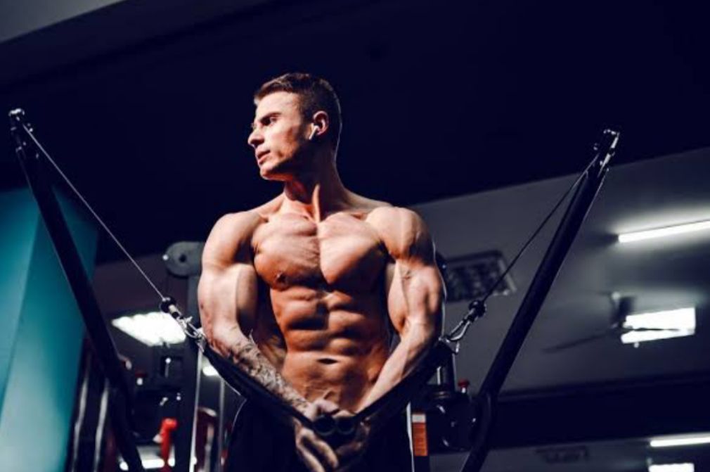 WhatsApp Image 2026-02-02 at 07.34