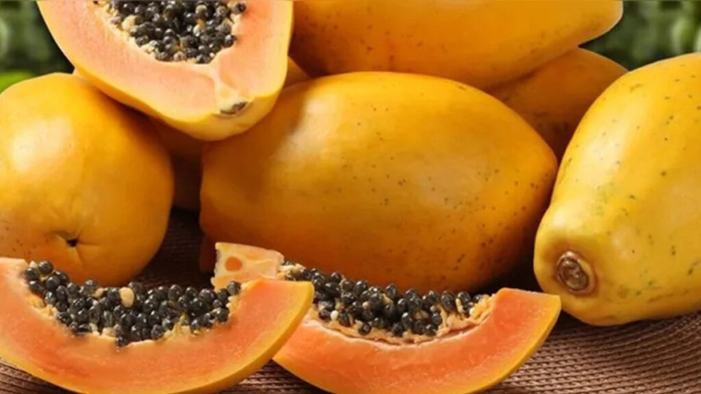 o motivo real para você começar a comer sementes de mamão hoje