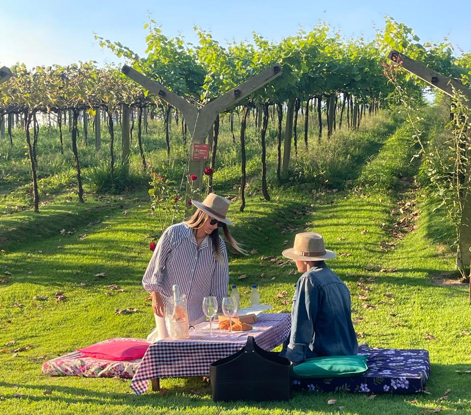 Piquenique Vinícola Góes