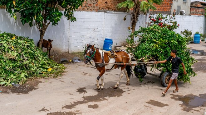 Maceió tem oito ecopontos para descarte de entulhos; veja localização » Alagoas Notícia Boa
