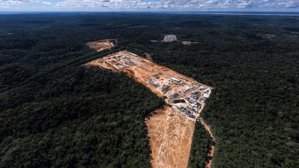 Planeta perdeu mais de 41 milhões de hectares de florestas em 10 anos