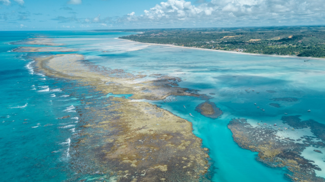 Projeto Rota dos Corais vai criar mapa sustentável conectando o litoral de Alagoas e Pernambuco » Alagoas Notícia Boa