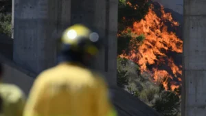 Europa enfrenta nova onda de calor, incêndios e alta nos alimentos
