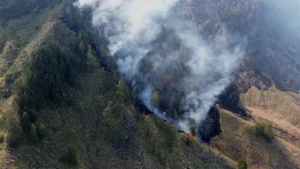 Incêndios fecham escolas e mobilizam 48 mil bombeiros na Indonésia