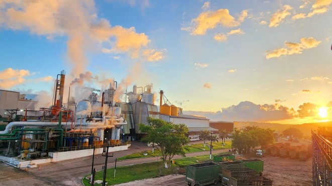 Pindorama projeta crescimento de até 10% na safra 2026/27 e amplia produção de etanol de grãos » Alagoas Notícia Boa