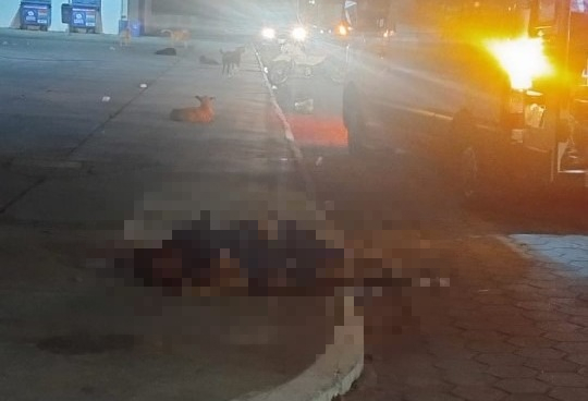 Homem é espancado até a morte com tijolo em Campo Alegre