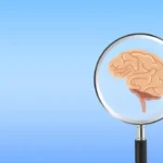 Neurologista alerta: Este é o pior hábito para a saúde do cérebro