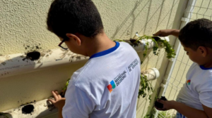 Tubos de PVC viram horta e despertam consciência ecológica em estudantes » Alagoas Notícia Boa